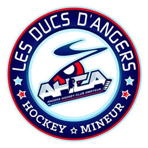 Photo hockey Le Ctre de Performance U18 Angers recrute - Hockey Mineur