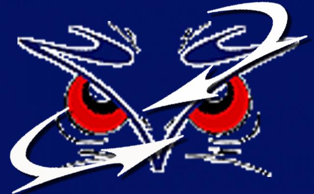 Photo hockey Le dfenseur Braxenholm resigne - Ligue Magnus : Angers  (Les Ducs)