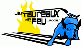 Photo hockey Le Hockey Club de Limoges recrute - Division 3