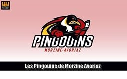 Photo hockey Le mag des Pingoins - A lire sans modration - Division 3 : Morzine-Avoriaz (Les Pingouins)