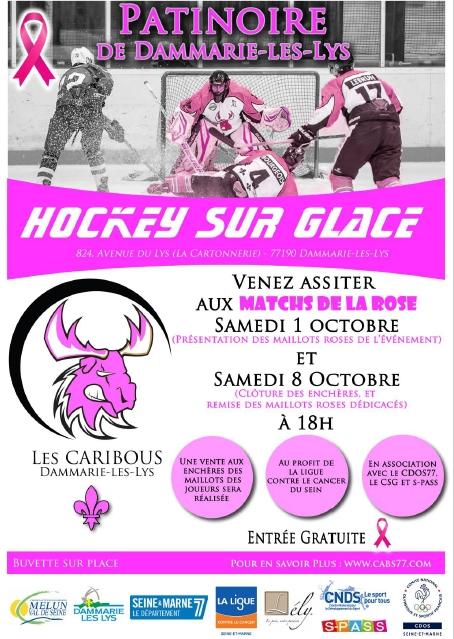 Photo hockey Les Caribous en rose - Division 3 : Dammarie-les-Lys (Les Caribous)
