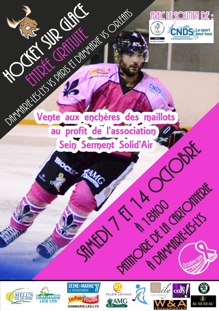 Photo hockey Les Caribous en rose - Division 3 : Dammarie-les-Lys (Les Caribous)