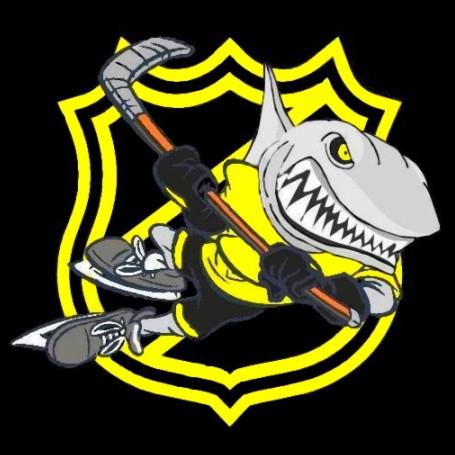 Photo hockey Les Gardons de Rouen - Hockey en France Photo hockey Les Gardons de Rouen - Hockey en France