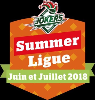 Photo hockey Les Jokers Lancent leur ligue dt ! - Division 1 : Cergy-Pontoise (Les Jokers)