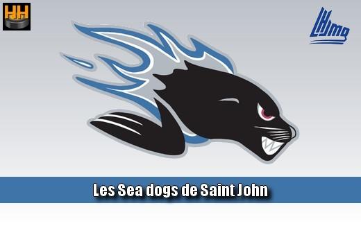 Photo hockey LHJMQ - 20me Victoire pour les SeaDogs - LHJMQ - Ligue de Hockey Junior Majeur du Qubec