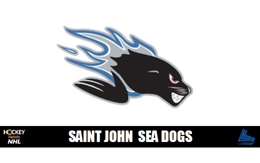 Photo hockey LHJMQ - Flynn quitte les Sea Dogs ! - LHJMQ - Ligue de Hockey Junior Majeur du Qubec