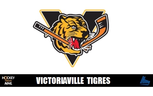 Photo hockey LHJMQ - Le gardien de la semaine - LHJMQ - Ligue de Hockey Junior Majeur du Qubec