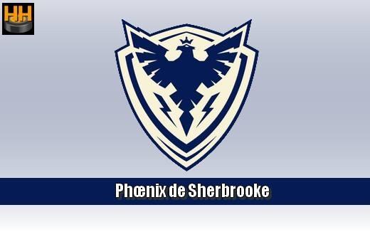 Photo hockey LHJMQ - Le Titan cde face au Phoenix - Ligue Magnus