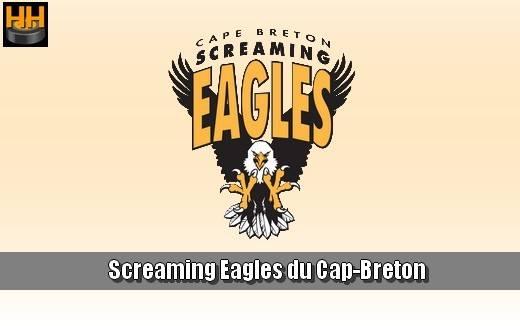 Photo hockey LHJMQ - Les Sea Dogs gagnent leur premier match  domicile - LHJMQ - Ligue de Hockey Junior Majeur du Qubec