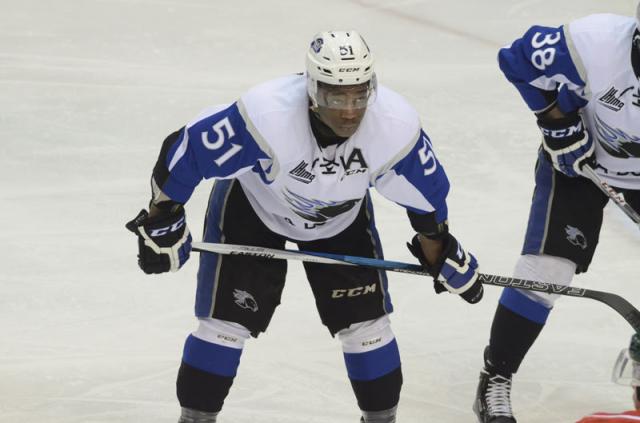 Photo hockey LHJMQ - Les Sea Dogs plument les Screaming Eagles - LHJMQ - Ligue de Hockey Junior Majeur du Qubec