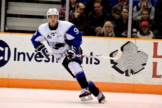 Photo hockey LHJMQ : Les SeaDogs dj en  Finale ! - LHJMQ - Ligue de Hockey Junior Majeur du Qubec