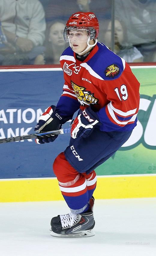 Photo hockey LHJMQ : Les Wildcats en 1/2 - LHJMQ - Ligue de Hockey Junior Majeur du Qubec