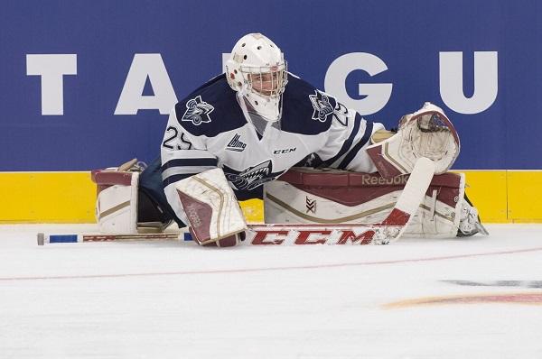 Photo hockey LHJMQ : Qubec chute pour la premiere du Vidotron - LHJMQ - Ligue de Hockey Junior Majeur du Qubec
