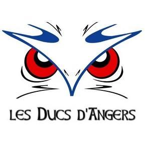 Photo hockey LM : Angers se renforce - Ligue Magnus : Angers  (Les Ducs)