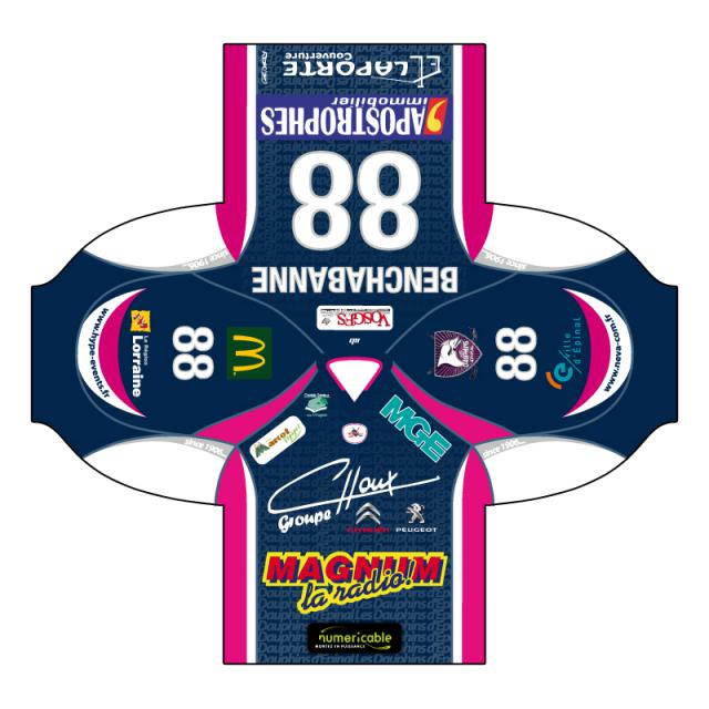 Photo hockey LM : Epinal - nouveaux maillots - Ligue Magnus : Epinal  (Les Wildcats)