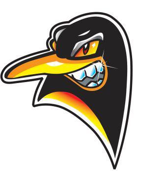 Photo hockey LM : Le site du HCMA se dote d