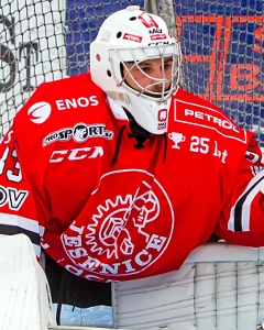 Photo hockey LM : nouveau gardien  Epinal - Ligue Magnus : Epinal  (Les Wildcats)