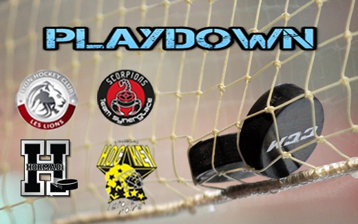 Photo hockey LM: Playdown, la situation - Ligue Magnus