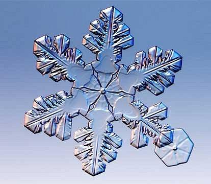 Photo hockey Matchs reports : Le point  14H51 - Hockey en France