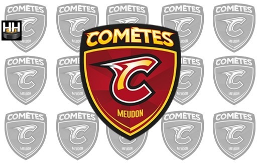 Photo hockey MEUDON - Le programme de prparation - Division 1 : Meudon (Les Comtes)