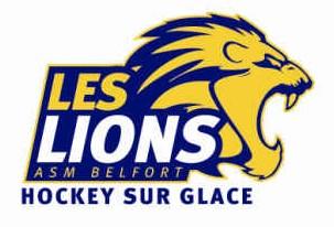 Photo hockey Mineur : Belfort, rsultats du week-end. - Hockey Mineur : Belfort  (Les Lions)