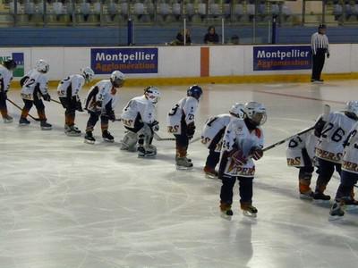 Photo hockey Mineur : Résultats Montpelliérains - Hockey Mineur : Montpellier (Les Vipers) Photo hockey Mineur : Résultats Montpelliérains - Hockey Mineur : Montpellier (Les Vipers)