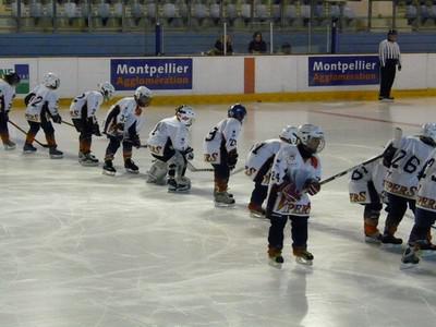 Photo hockey Mineur : Rsultats Montpellirains - Hockey Mineur : Montpellier  (Les Vipers)