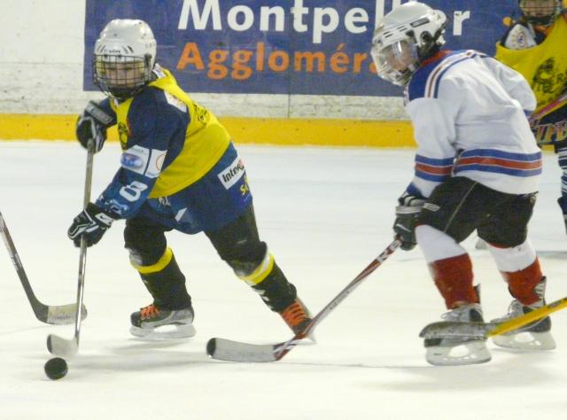 Photo hockey Mineur Montpellier : Rsultats et Programme  - Hockey Mineur : Montpellier  (Les Vipers)