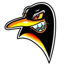 Photo hockey Morzine : Du ct du hockey mineur - Hockey Mineur : Morzine-Avoriaz (Les Pingouins)