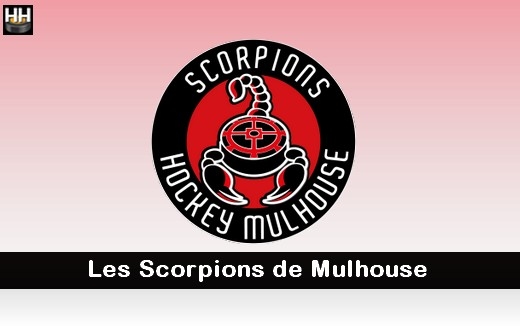Photo hockey Mouvements  Mulhouse - Division 2 : Mulhouse (Les Scorpions)