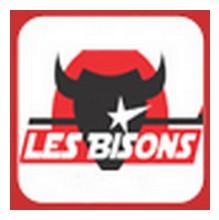 Photo hockey Neuilly : Communiqu de presse - Division 1 : Neuilly/Marne (Les Bisons)