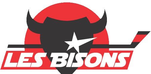 Photo hockey Neuilly : nouveaux mouvements - Division 1 : Neuilly/Marne (Les Bisons)