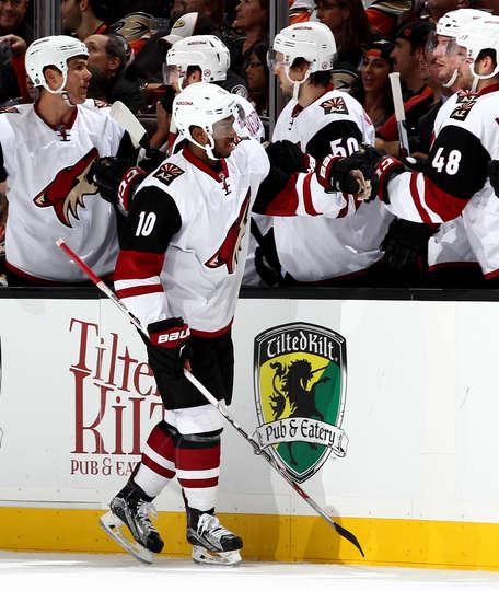 Photo hockey NHL : Du canard au menu des Coyotes - NHL : National Hockey League - AHL