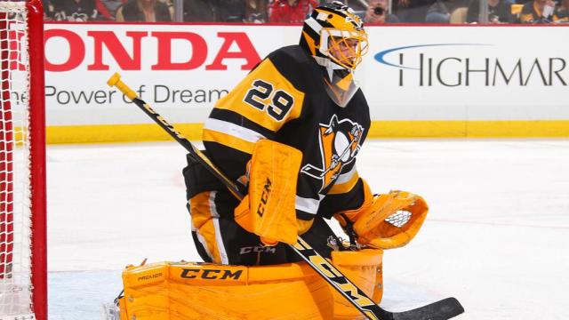 Photo hockey NHL : Fleury enfin de retour ? - NHL : National Hockey League - AHL