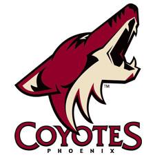 Photo hockey NHL : Phoenix cherche public - NHL : National Hockey League - AHL