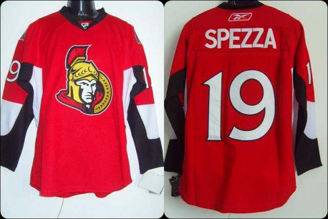 Photo hockey NHL : Spezza opr du dos - NHL : National Hockey League - AHL