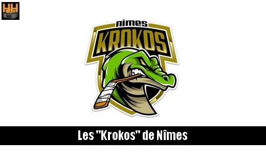 Photo hockey Nmes recrute 1 attaquant franais u20,d2,d1 - Division 3 : Nimes (Les Krokos)