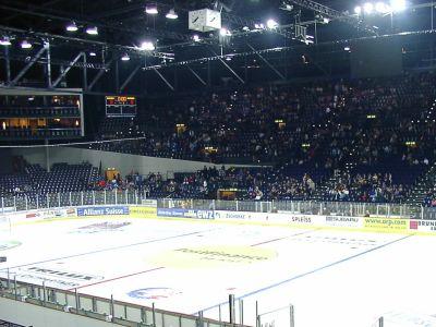 Photo hockey NLA: Les Ours battus  Zurich - Suisse - Divers