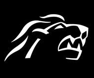 Photo hockey NLA: Mir sind geiler Zri - Suisse - Divers : Zrich (ZSC Lions)