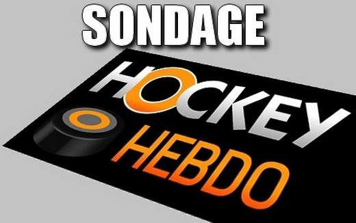 Photo hockey Notre sondage 1/2 finales D1 - Division 1