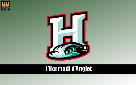 Photo hockey Nx logos et visuels pour l