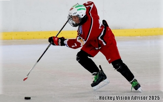 Photo hockey PETITION Pour que VALENTIN vive son rve ! - Hockey en France