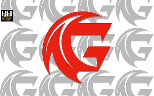 Photo hockey Ractions de K. Bergin - Dfaites des Gothiques vs Krefeld - Ligue Magnus : Amiens  (Les Gothiques)