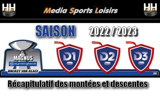 Photo hockey Récapitulatif des montées et descentes. - Hockey en France
