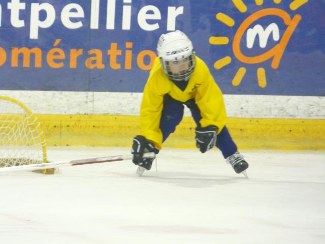 Photo hockey Rsultat Mineurs des Vipers  - Hockey Mineur : Montpellier  (Les Vipers)