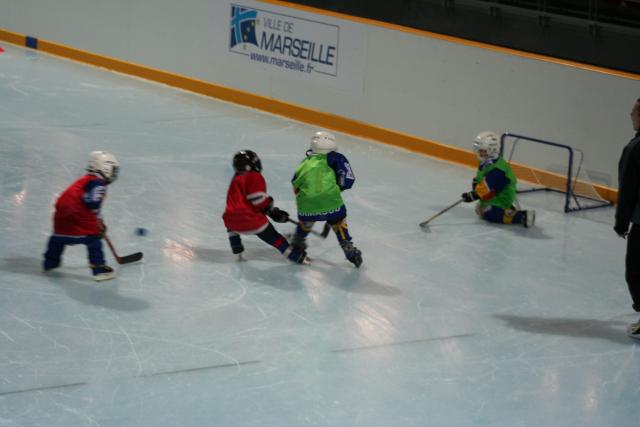 Photo hockey Rsultats du week-end : Mineurs Vipers  - Hockey Mineur : Montpellier  (Les Vipers)