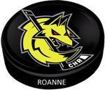 Photo hockey Roanne : Recrutement et Nouvel objectif - Division 3 : Roanne (Les Renards)