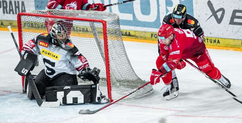 Photo hockey TELH : Les tigres blancs règnent chez le lion - TELH - Tipsport Extraliga Ledního Hokeje