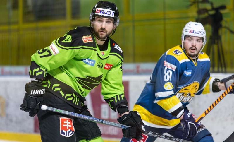 Photo hockey Tipos SHL : Dos  dos - Hockey en Europe