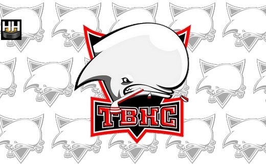 Photo hockey Toulouse enregistre un dpart - Division 2 : Toulouse-Blagnac (Les Belougas)